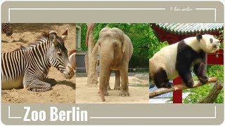 Zoo Berlin