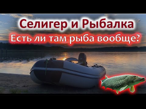 РЫБАЛКА НА СЕЛИГЕРЕ? НЕПЕРЕДАВАЕМАЯ атмосфера! Свой рыболов