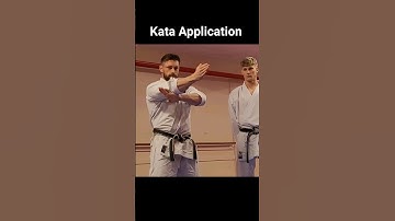 Kata Application - What kata is this from? #karate #karatetechniques #shotokan #martialarts