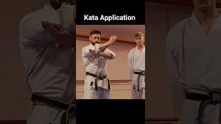 Download Lagu Kata Application - What kata is this from? #karate #karatetechniques #shotokan #martialarts MP3