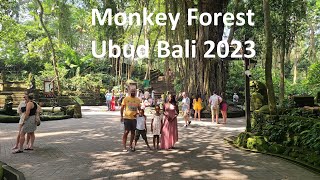 Ubud part 2 || Sacred Monkey Forest Sanctuary || Ubud Bali Indonesia 2023