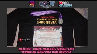 Story wa silat 30detik