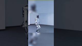 Tesla Bot Vs Kepler Bot The Battle Of Ai Robots 