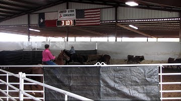 Meagan Mac - 10/13/12 RSNC Show - #8 class - 10 in 54.43 - WON THE CLASS - Valley View Ranch
