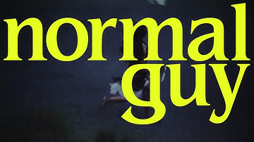 Chris LaRocca - normal guy (visualizer video)