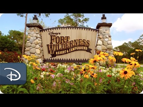 Video: Uw gids voor camperen naar Disney World