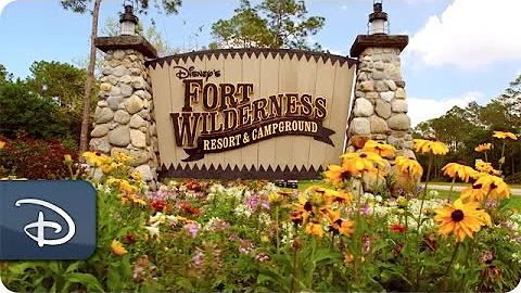 Disney's Fort Wilderness Resort & Campgrounds | Walt Disney World
