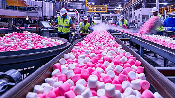 The Sweet Science | How Marshmallows Are Made From Sugar to Fluffy Perfection | The Decode Lab