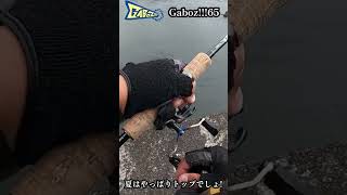 夏はガボッツの季節!Gaboz!!!65を持って釣りに行こう!byこばっち(小原暁彦)