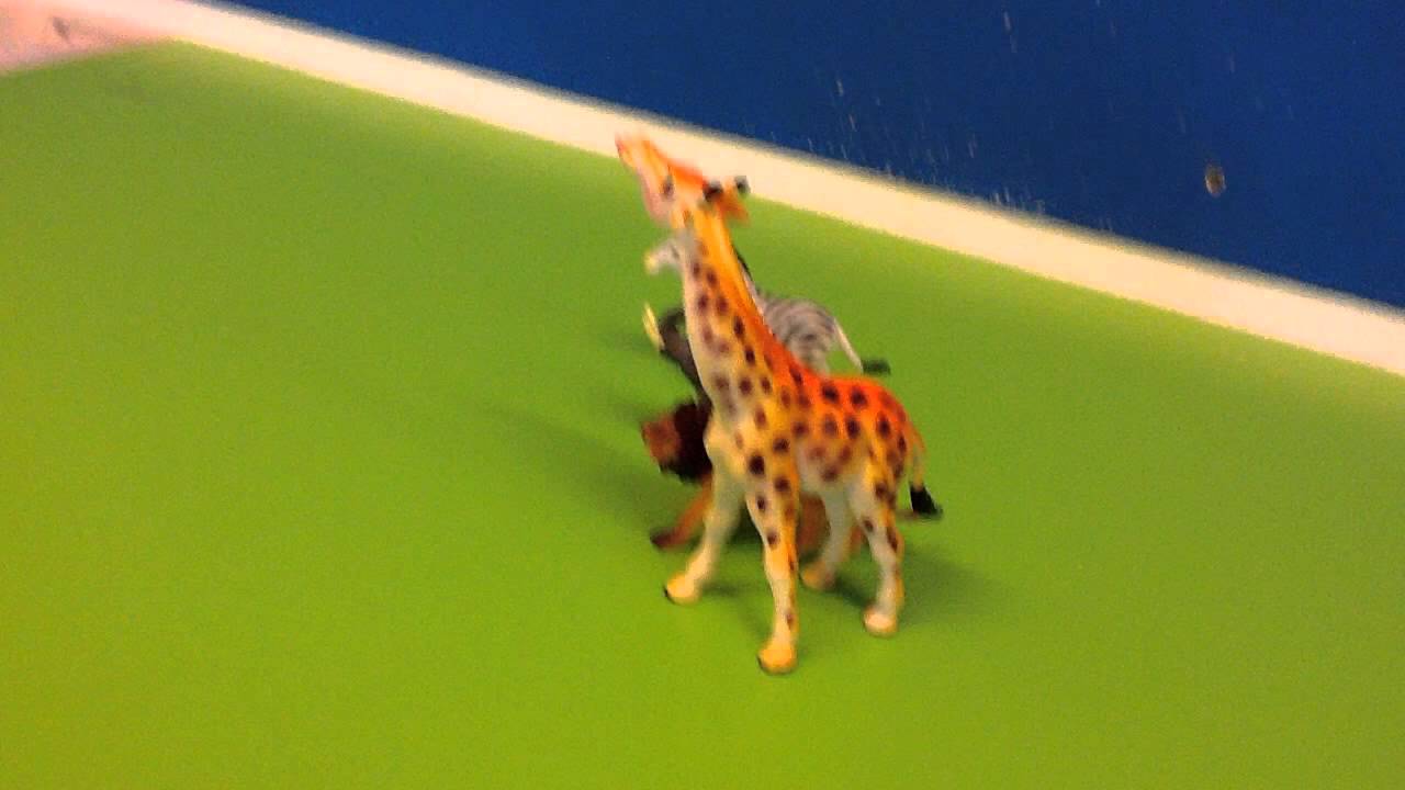 Dierentuin YouTube Dierentuin YouTube