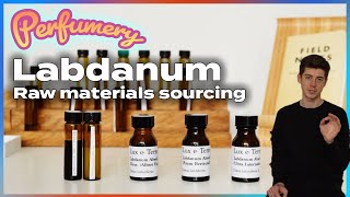 Searching for the BEST Labdanum Absolute