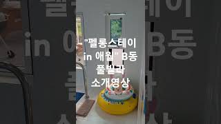 &quot;펠롱스테이 in 애월&quot; B동 풀빌라 소개영상