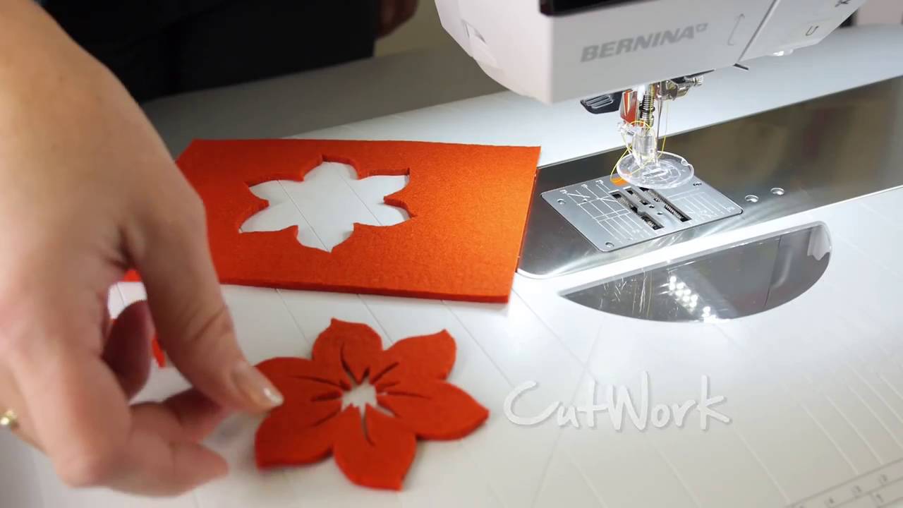 Tutorial how to use the BERNINA echo quilt and CutWork foot no 44 YouTube
