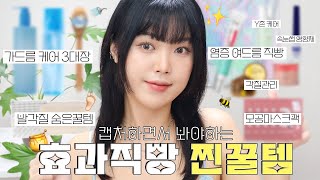 어떻게 관리하냐구요?✨관리템 모음집📁 등드름 가드름 케어 삼대장부터 속눈썹 영양제, 모공 관리, 발각질 관리 숨은 꿀템까지🐝 홈케어 추천템 | 아르몽