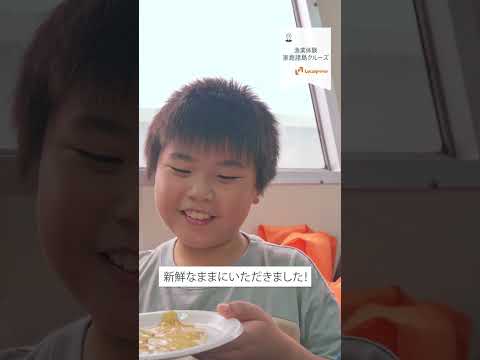 【7月14日開催】船上で漁を楽しむ。捌きたての魚＆家島諸島クルーズ【ロカプラ兵庫】#shorts #家島諸島 #漁業見学ツアー #海の絶景