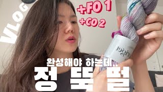 뜨개로그?타래상점 협찬, 아란 가디건, Scarf no.1, Rococo, Cornelius, 뜨개 일상, 육아 일상, 프랑스 일상