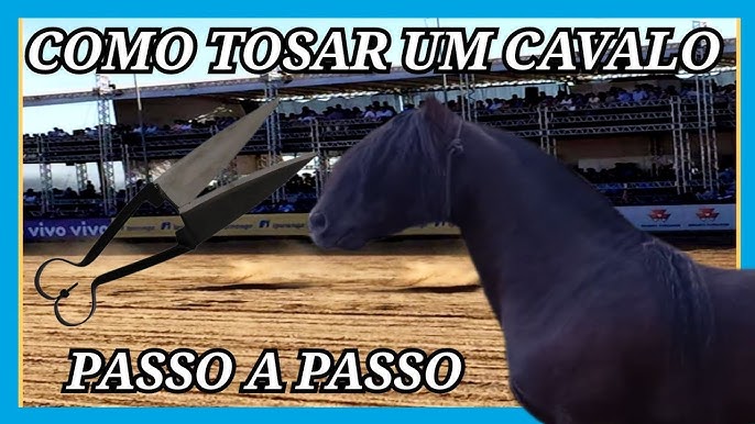 Cavalo pulando sentao pantaneiro 