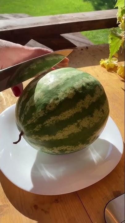 🍉Арбуз САХАРНЫЕ УСТА. #shorts #арбуз - YouTube