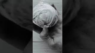 🧵 Clue: From a Ball of Yarn to Solving Mysteries! 🕵️‍♂️