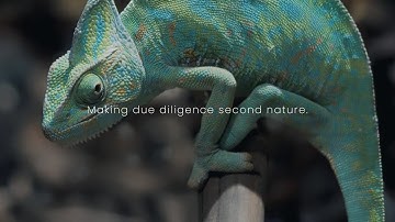 Introducing AI Investigator | Making Due Diligence Second Nature