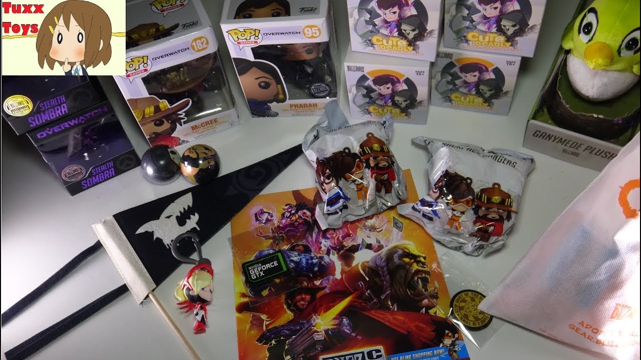 Blizzcon 2018 Timewalker’s Treasure Chest Loot Box  - What I got!