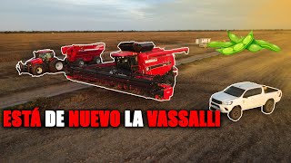 Cosecha de soja HUMEDA con la VASSALI V760| ATORAMOS la maquina| TOLVEAMOS con el PUMA 230| 1° PARTE