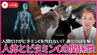 人間はビタミンCが合成できないので摂らなければならないが、犬猫に果物やサプリでビタミンCを犬猫に与えると病気になる  人類ビタミンCを摂らなければならない体になった理由とは？