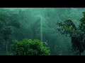Rain in the rainforest sounds are perfect for sleeping, relaxing, studying or meditating. Deep Sleep