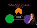 The Toxic Triangle of Destructive Leadership: Leaders, Followers, and Institutions