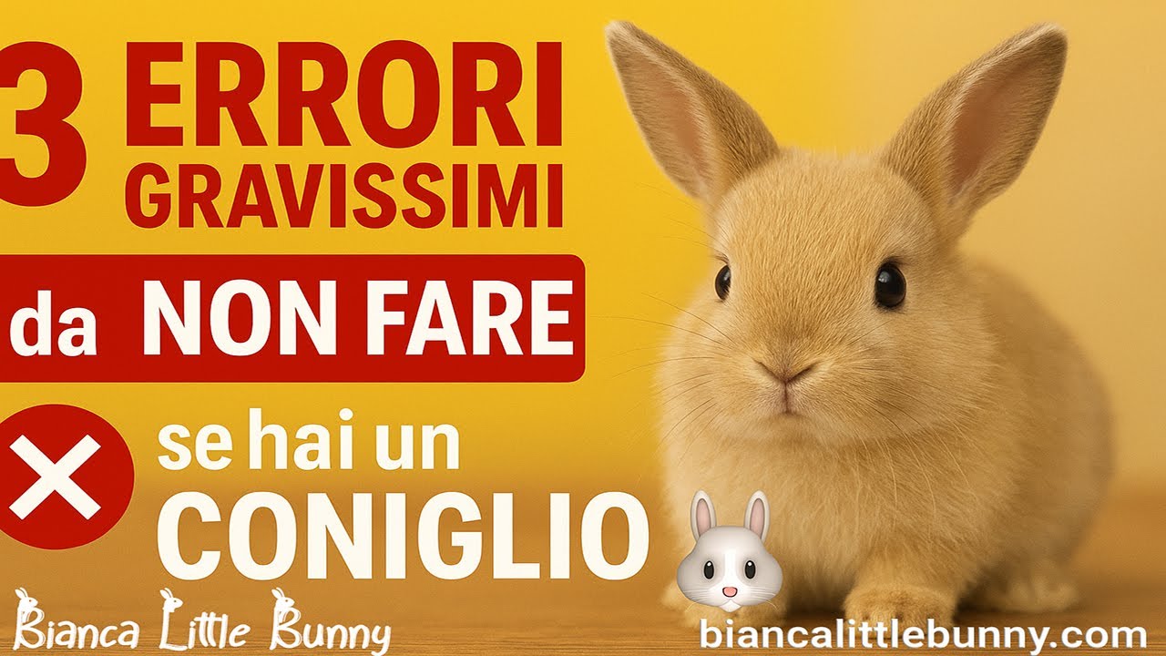 3 COSE da NON fare ❌ se vuoi un Coniglio FELICE 🐇