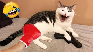YOU LAUGH YOU LOSE🥰Best Funny Animals Video 2024😽🐶Part 18