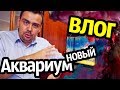 Влог | Новый аквариум | Страховка и технический осмотр