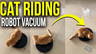 Cat Loves Riding Owner’s New Robot Vacuum as It Moves Around