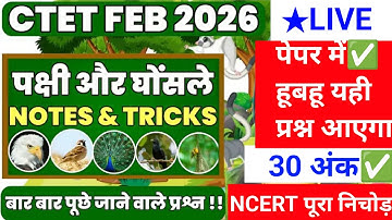 CTET Previous Year Question Paper evs Pedagogy | CTET 2025 Preparation |