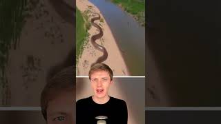Famous Biggest Snakes Ever Caught On Camera Wealth