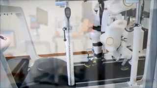 Robot-assisted Gait Training System (WALKBOT)