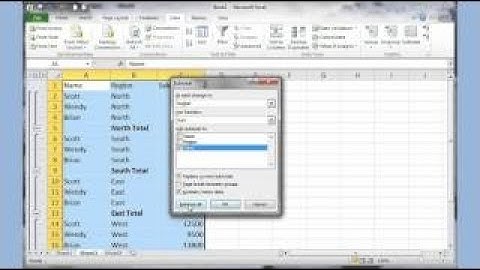 Microsoft Excel 2007 2017 pt 5 (Sort/Filter, Subtotal, Pivot Table)