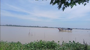 Tình cảm miền tây đơn giản con cá sông & ly rượu đế 