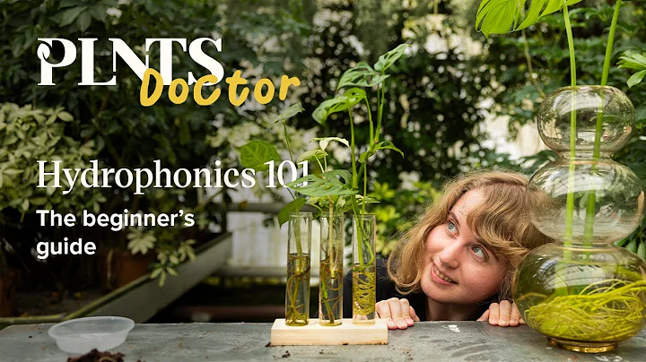 Hydroponics 101: A Beginner's Guide to Growing Houseplants Without Soil | PLNTSdoctor S02E09