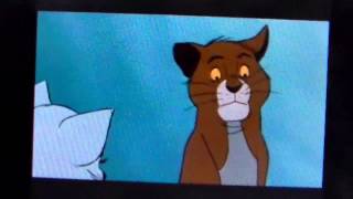 The Many Adventures Of Aiai The Monkey Part 22 - The Plan To Unbounce Omalley Is Put Into Action