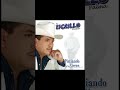 El tigrillo palma corridos y canciones mix