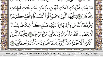 سورة التحريم مكتوبة كاملة سعد الغامدي بدون اعلانات