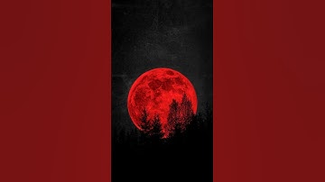 خسوف القمر 🌑🌕 سورة القيامة
