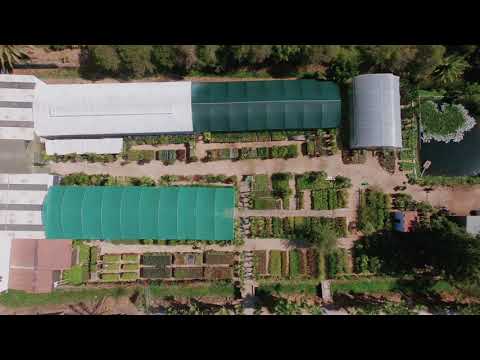 Vídeo: Garden Hills, Viveiro De Plantas E Escritório De Paisagismo No Distrito De Vsevolozhsky