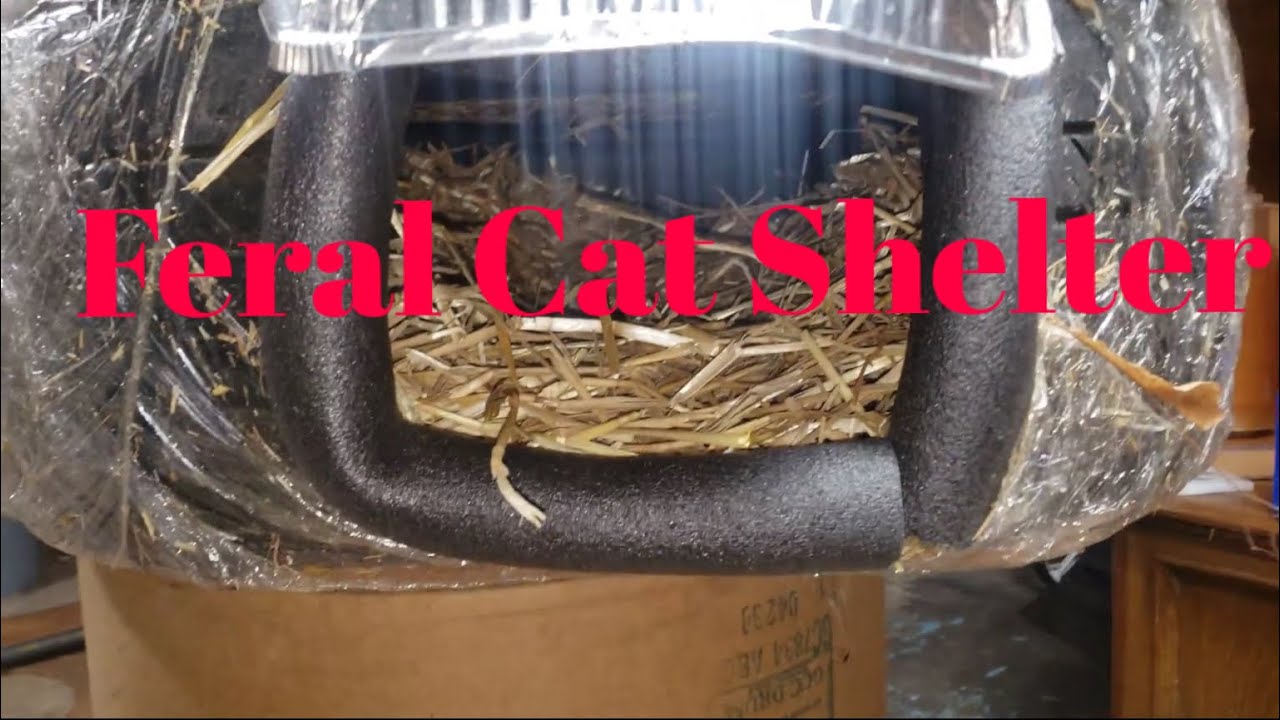 Insulated feral cat shelter with reflective mylar insulation, door flap,  and a built in awning. 