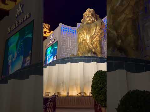 Mgm Lion Las Vegas Strip Lasvegas Mgm Vegasstrip