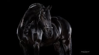 Песня. Чёрная лошадка. Евгений Лапердин. Black Horse. Eugene Laperdin.