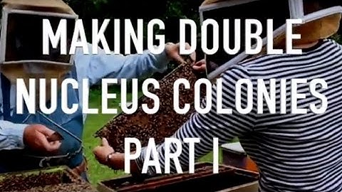 Making Double Nucleus Colonies Part I