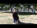 Southern Nevada k9 Training - Dog training in Las Vegas, NV. Southern Nevada k9 Training - Dog training in Las Vegas, NV.