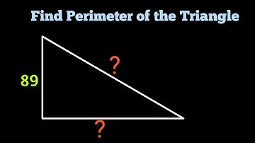 Find the Perimeter of the Right Triangle | Olympiad Geometry Questions